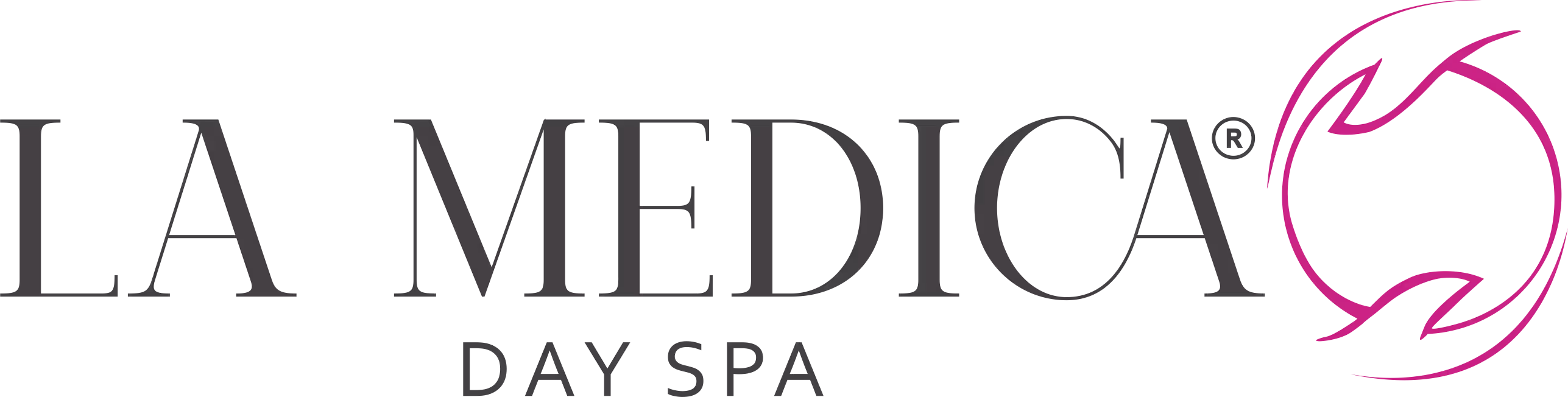 LOGO LaMedica